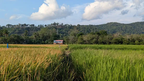 Dokumentasi pertanian Desa Hukaea