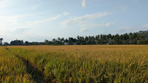 Dokumentasi pertanian Desa Hukaea